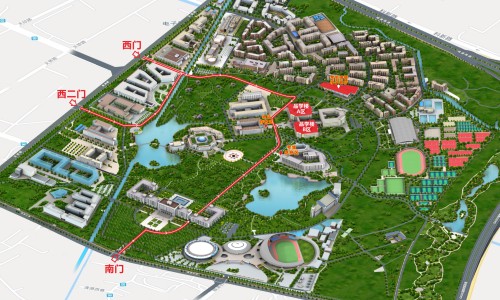 黄精根须的功效-【黄精根须的功效】黄精根须的功效 - 黄精根作用与功效网